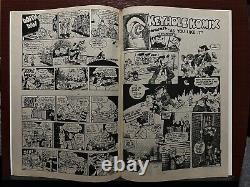 Air Pirates Funnies #1 Hell Comics 1971 Underground Comix Mickey Walt Disney