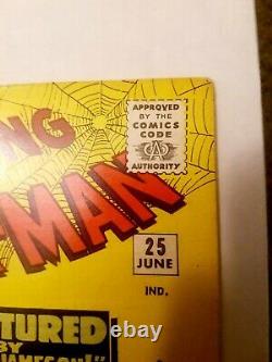 Amazing Spider-man #25 Marvel-Steve Ditko Silver-Age Comic book Mary Jane