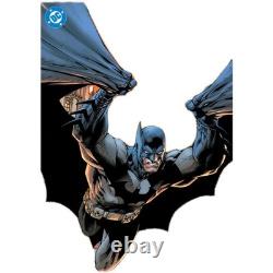 Batman Hush 2 #158 Variety Variany Covers 1100? Foil? Giant Size? Over 10 Books