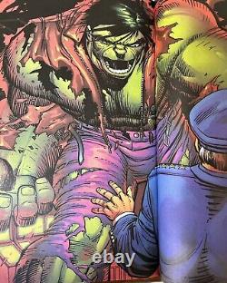 Hulk Comic Lot Volume 2 (1999 Series)