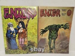 Lot Of 2 Fantagor Comics Issues #2 And #4