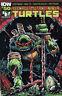 The Teenage Mutant Ninja Turtles #50 Hero Initiative 100 Project Daniel Campos