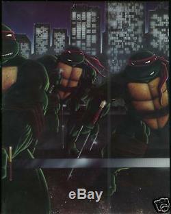 Teenage Mutant Ninja Turtles Collected Book 1 Ltd Hardcover Dust Jacket TMNT HC