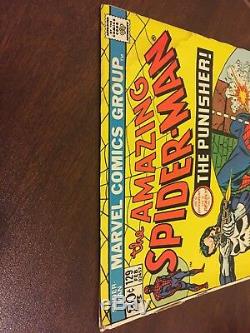 The Amazing Spider-Man #129 (Feb 1974, Marvel) First Appearance of The Punisher